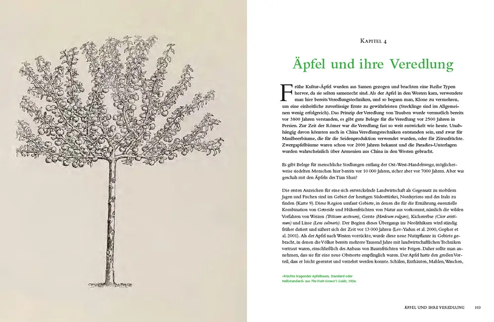 Sample Content (Image) Die Geschichte des Apfels