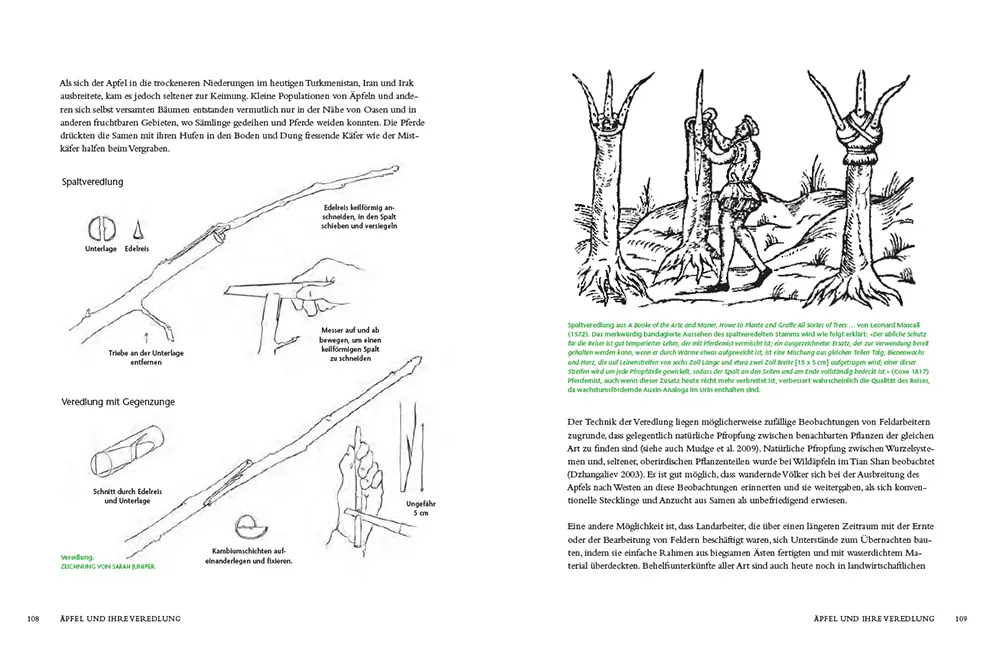 Sample Content (Image) Die Geschichte des Apfels