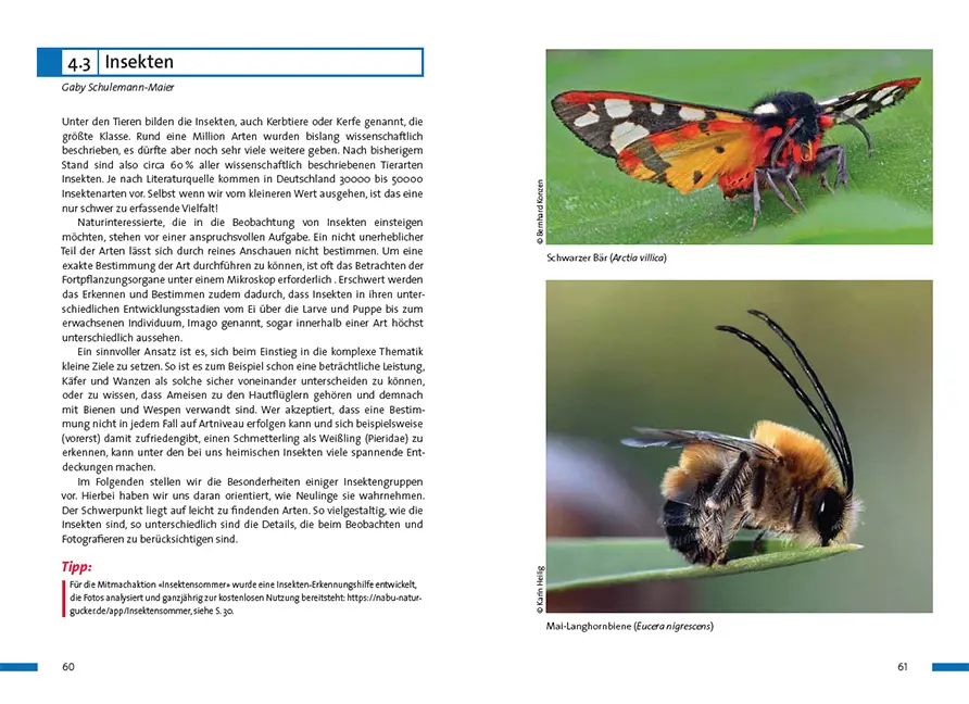 Sample Content (Image) Praxisbuch Naturgucken
