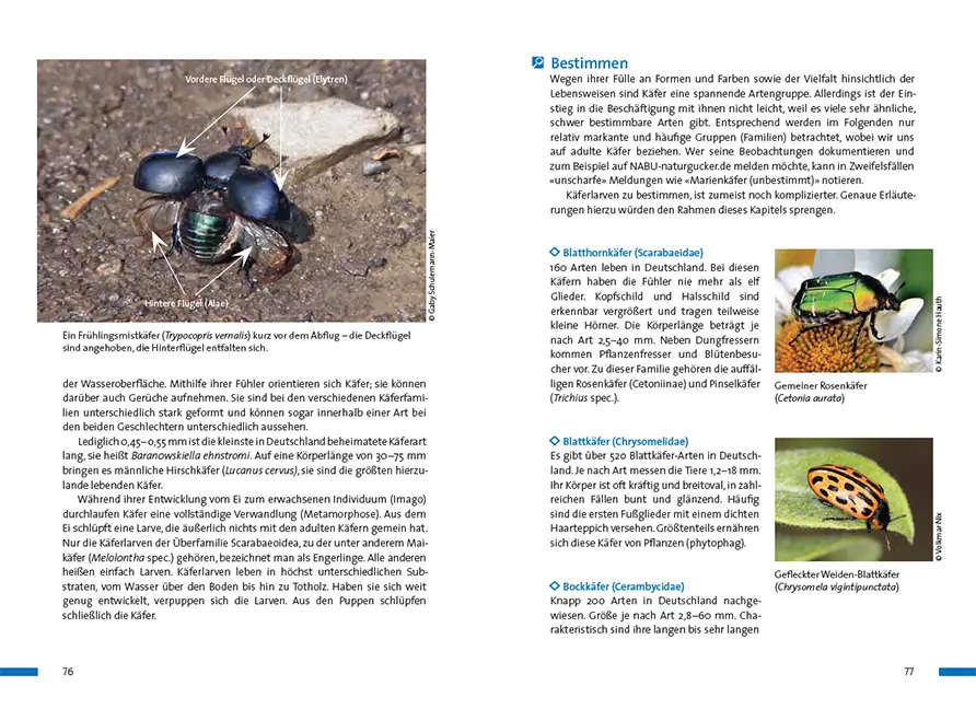 Sample Content (Image) Praxisbuch Naturgucken