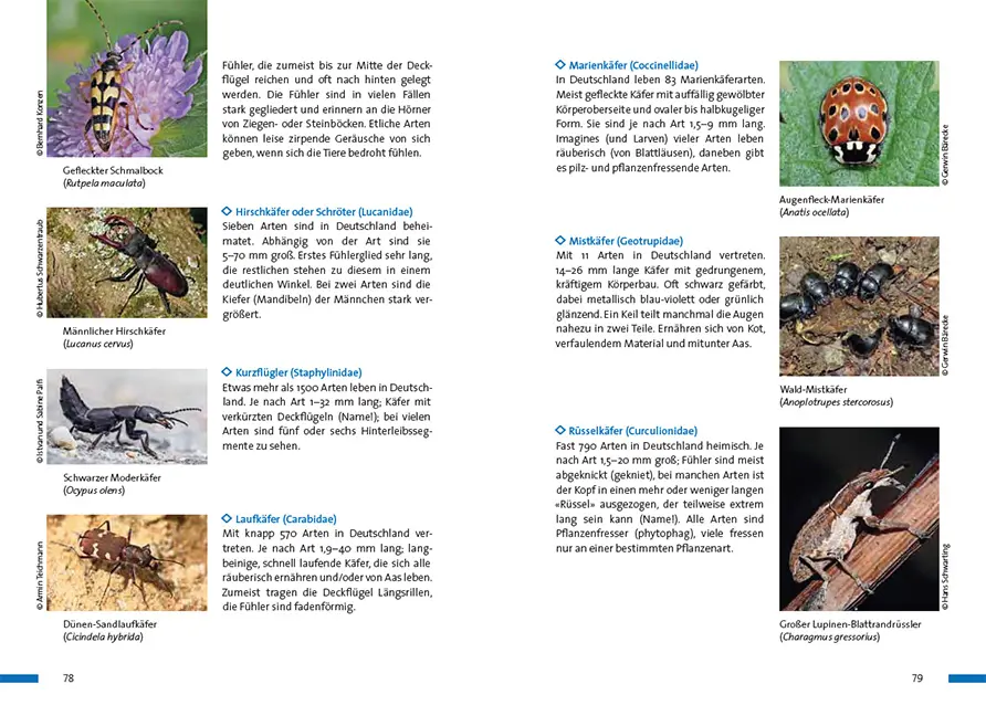 Sample Content (Image) Praxisbuch Naturgucken