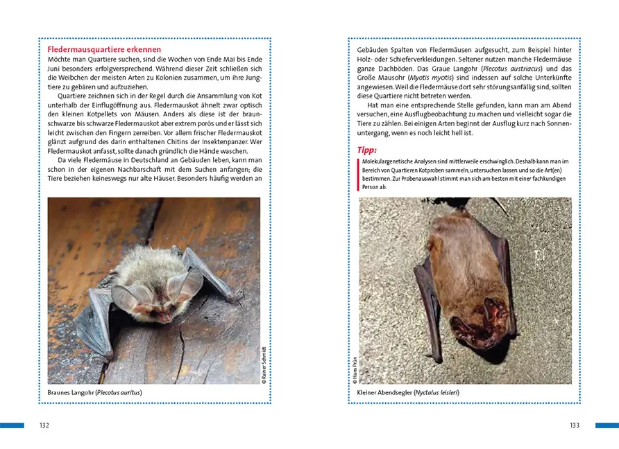 Sample Content (Image) Praxisbuch Naturgucken