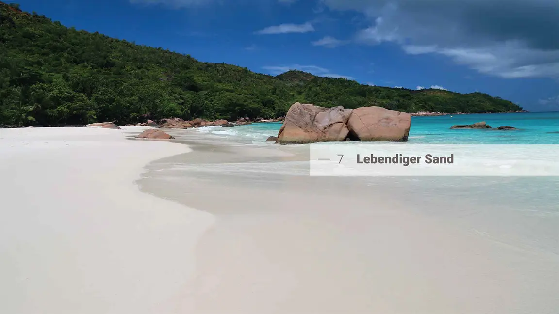 Sample Content (Image) Das große Buch vom Sand