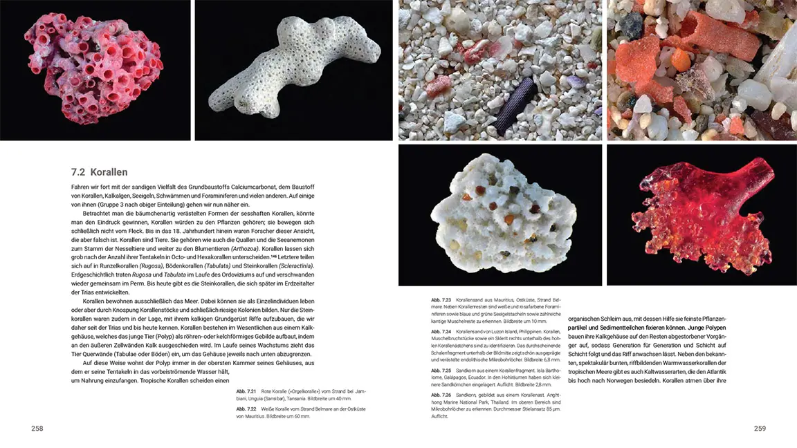 Sample Content (Image) Das große Buch vom Sand