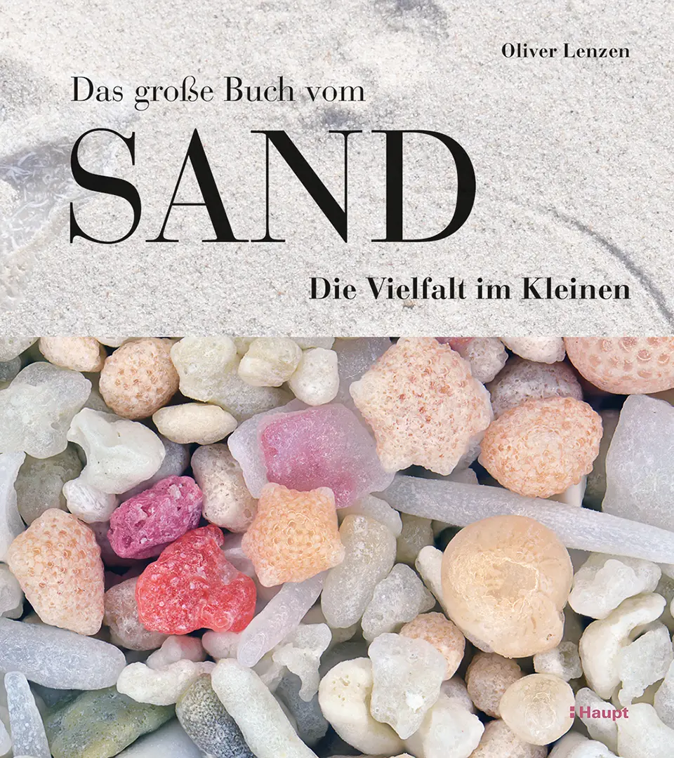 Front Cover Image Das große Buch vom Sand