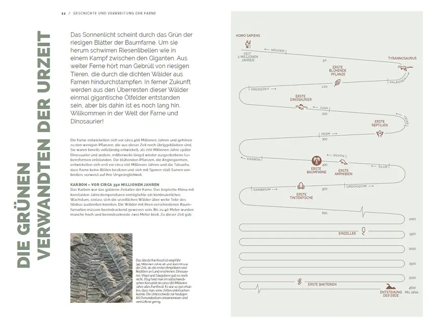 Sample Content (Image) Farne