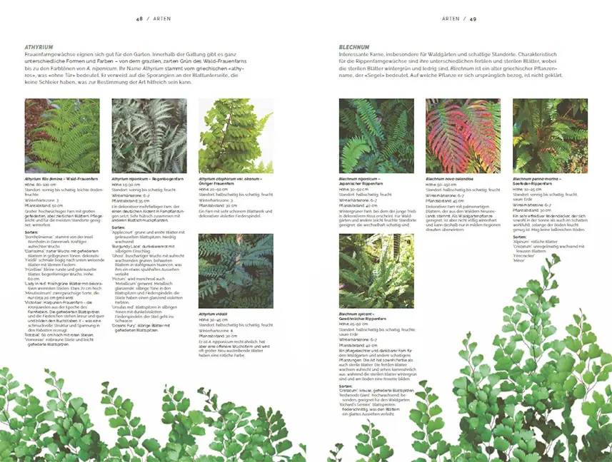 Sample Content (Image) Farne