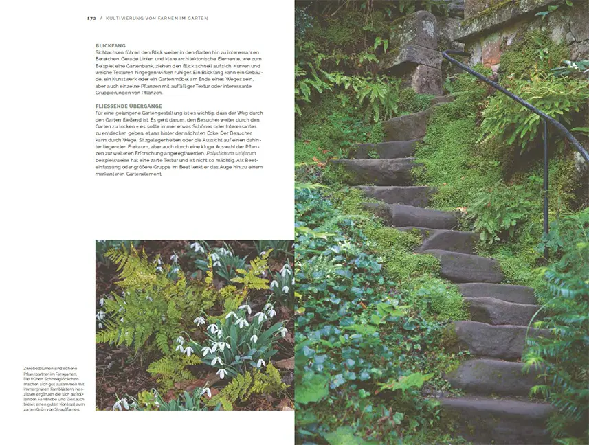 Sample Content (Image) Farne