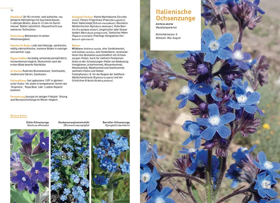 Sample Content (Image) Gärtnern im Klimawandel