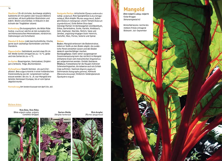 Sample Content (Image) Gärtnern im Klimawandel