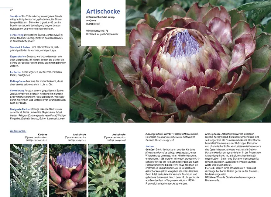 Sample Content (Image) Gärtnern im Klimawandel