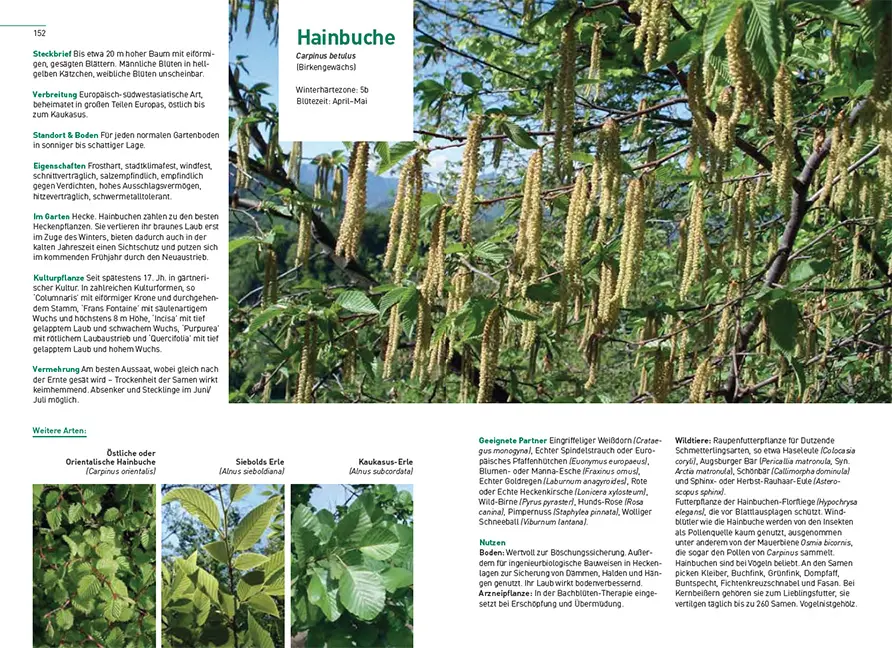 Sample Content (Image) Gärtnern im Klimawandel