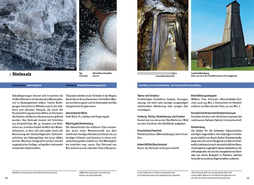 Sample Content (Image) Gesteine der Schweiz