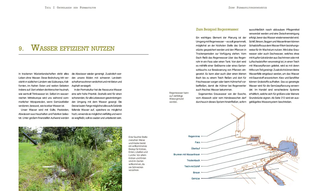 Sample Content (Image) Permakultur