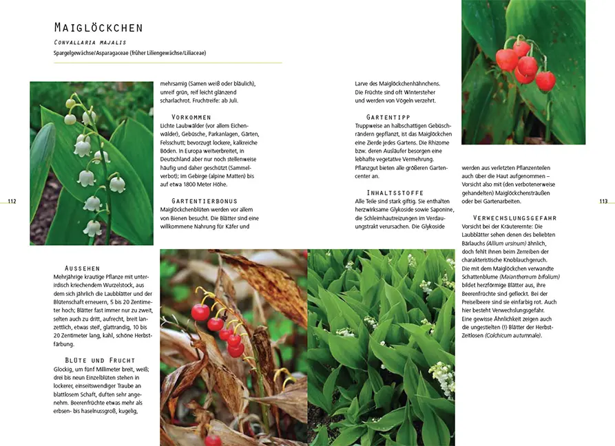 Sample Content (Image) Gefährliche Schönheiten - Giftpflanzen im Garten