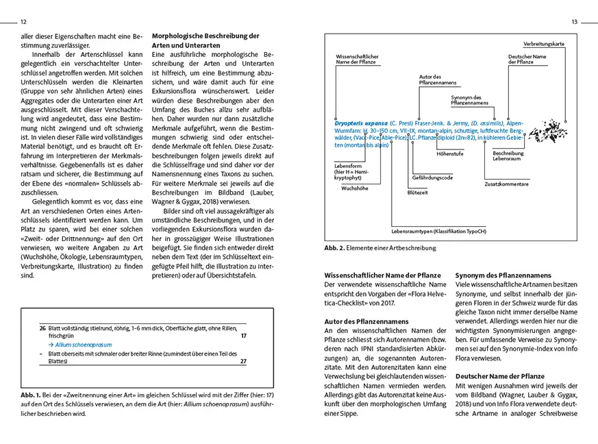 Sample Content (Image) Flora Helvetica - Exkursionsflora