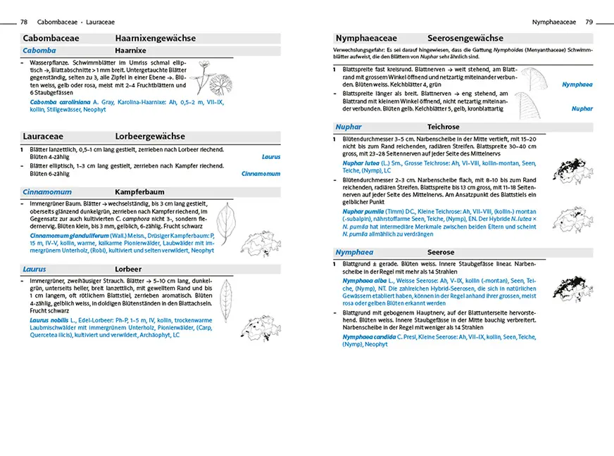 Sample Content (Image) Flora Helvetica - Exkursionsflora