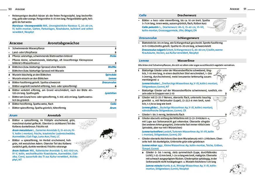 Sample Content (Image) Flora Helvetica - Exkursionsflora