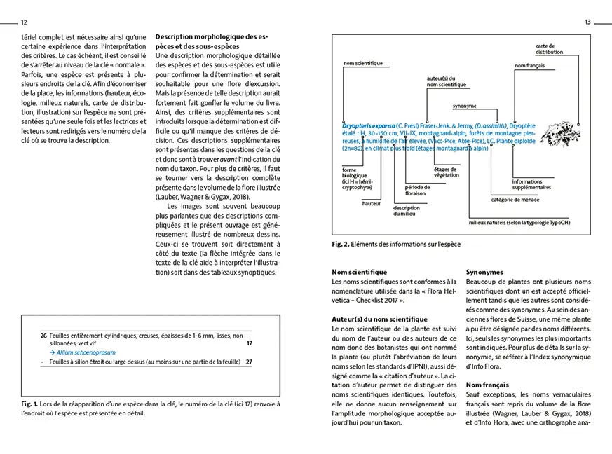Sample Content (Image) Flora Helvetica - Flore d'excursion