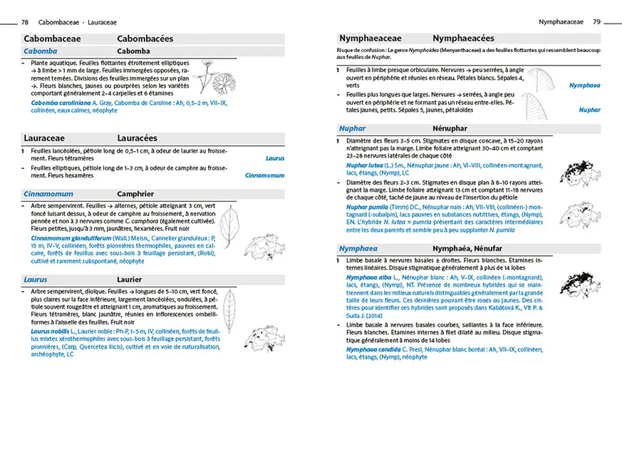 Sample Content (Image) Flora Helvetica - Flore d'excursion