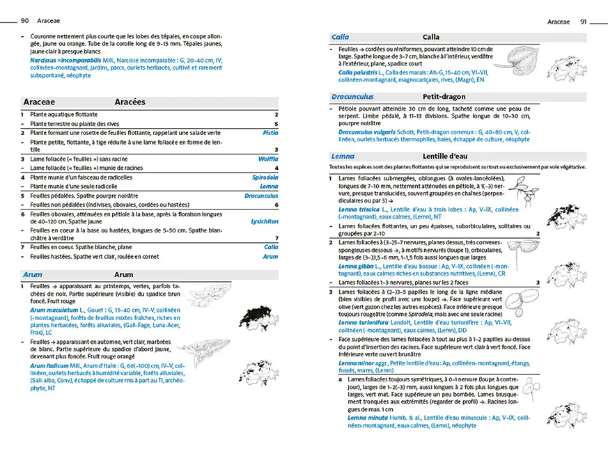 Sample Content (Image) Flora Helvetica - Flore d'excursion