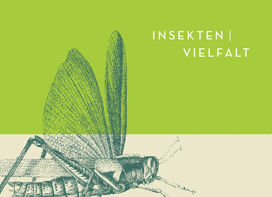 Sample Content (Image) Facettenreiche Insekten