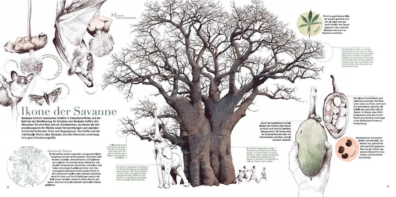 Sample Content (Image) Afrika!