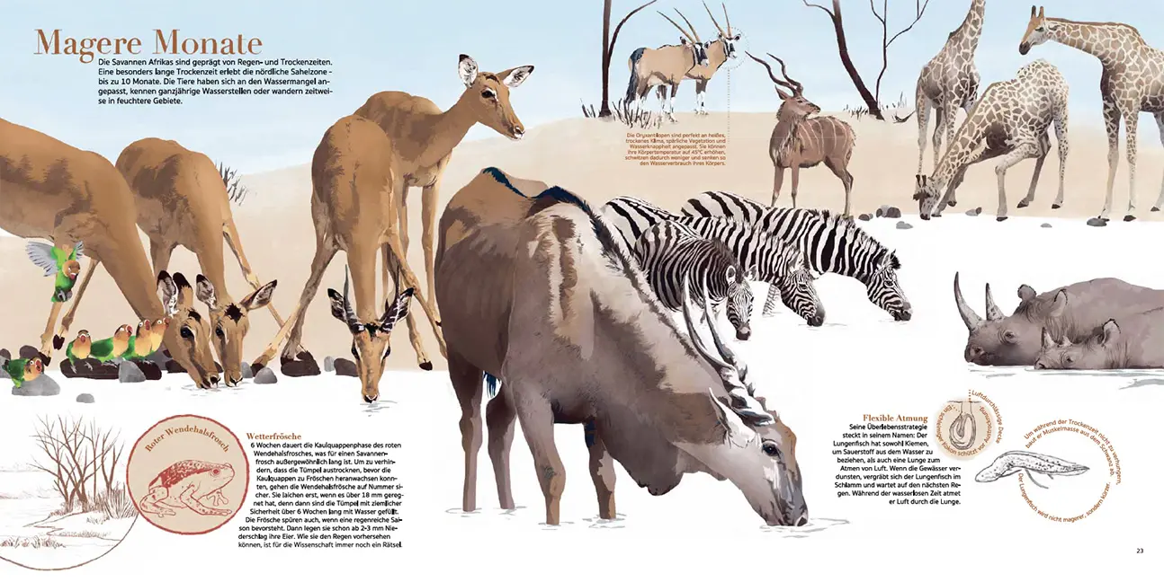 Sample Content (Image) Afrika!