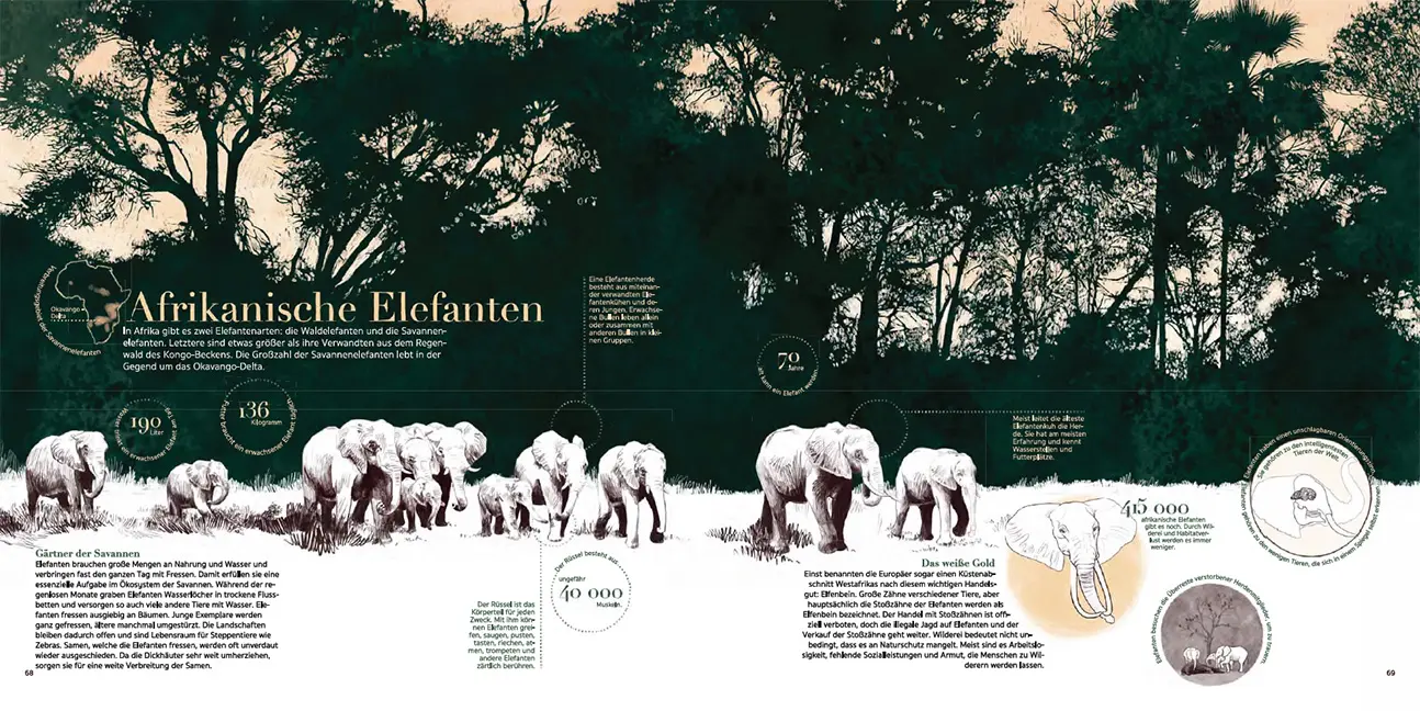 Sample Content (Image) Afrika!