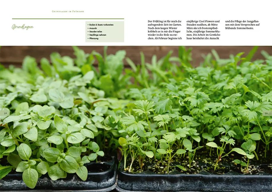 Sample Content (Image) Slowflowers