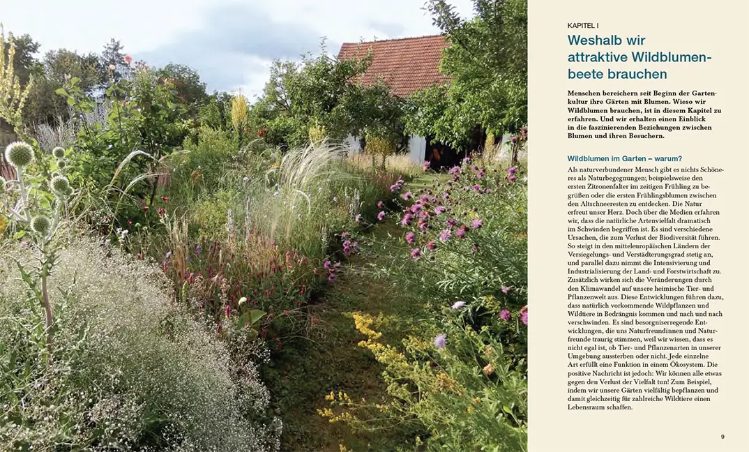 Sample Content (Image) Natürlich schön und wild umschwärmt