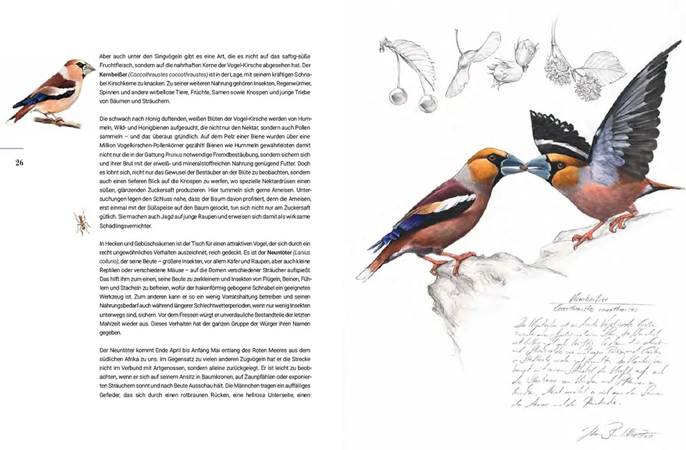 Sample Content (Image) Miteinander