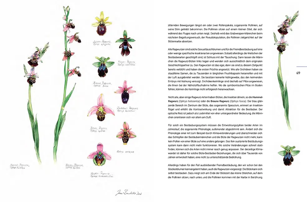 Sample Content (Image) Miteinander