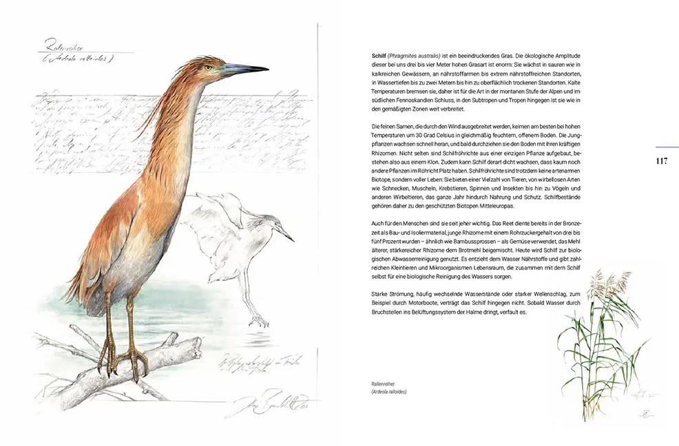 Sample Content (Image) Miteinander