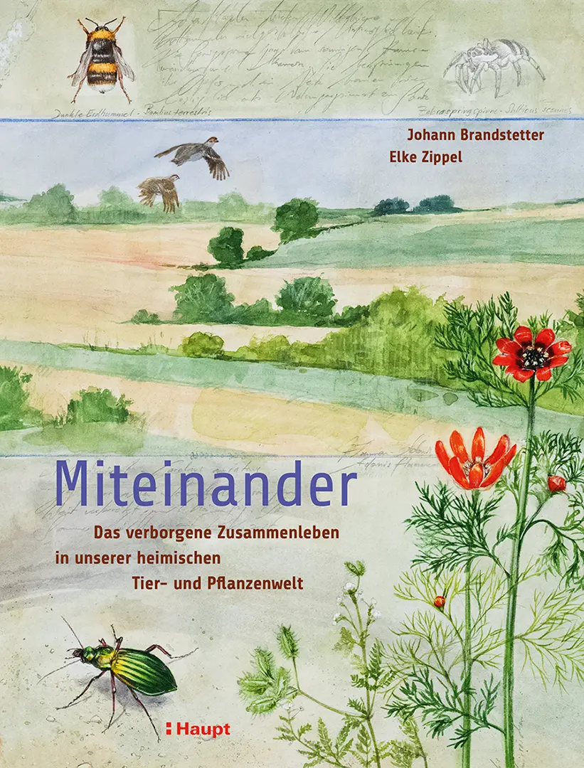 Front Cover Image Miteinander
