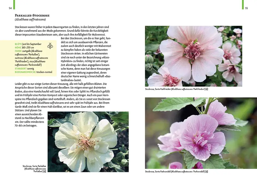 Sample Content (Image) Gartenschätze