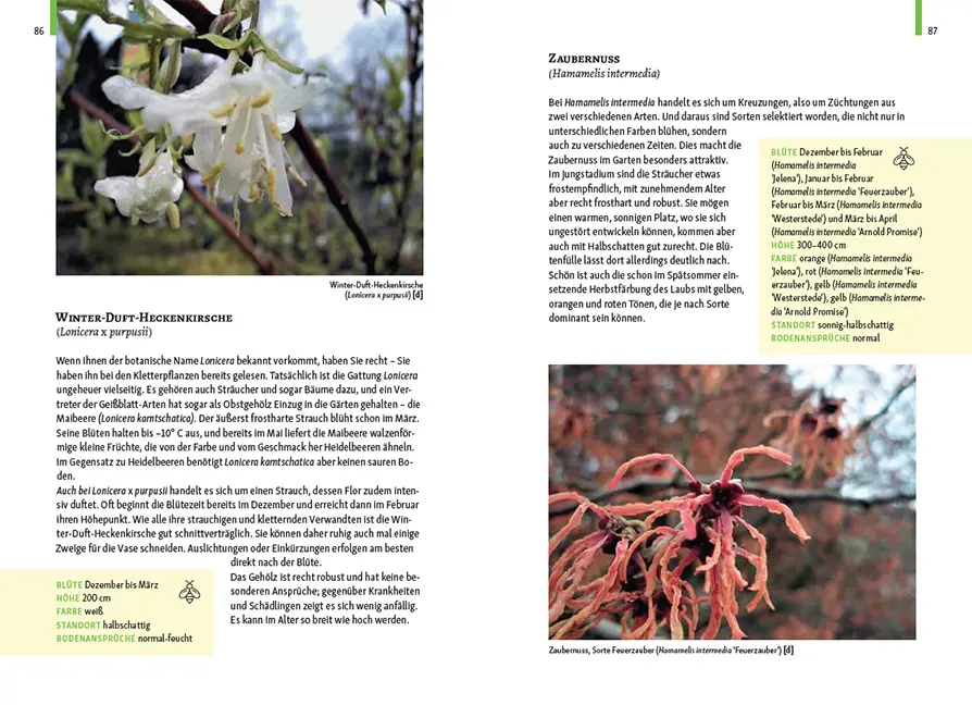 Sample Content (Image) Gartenschätze