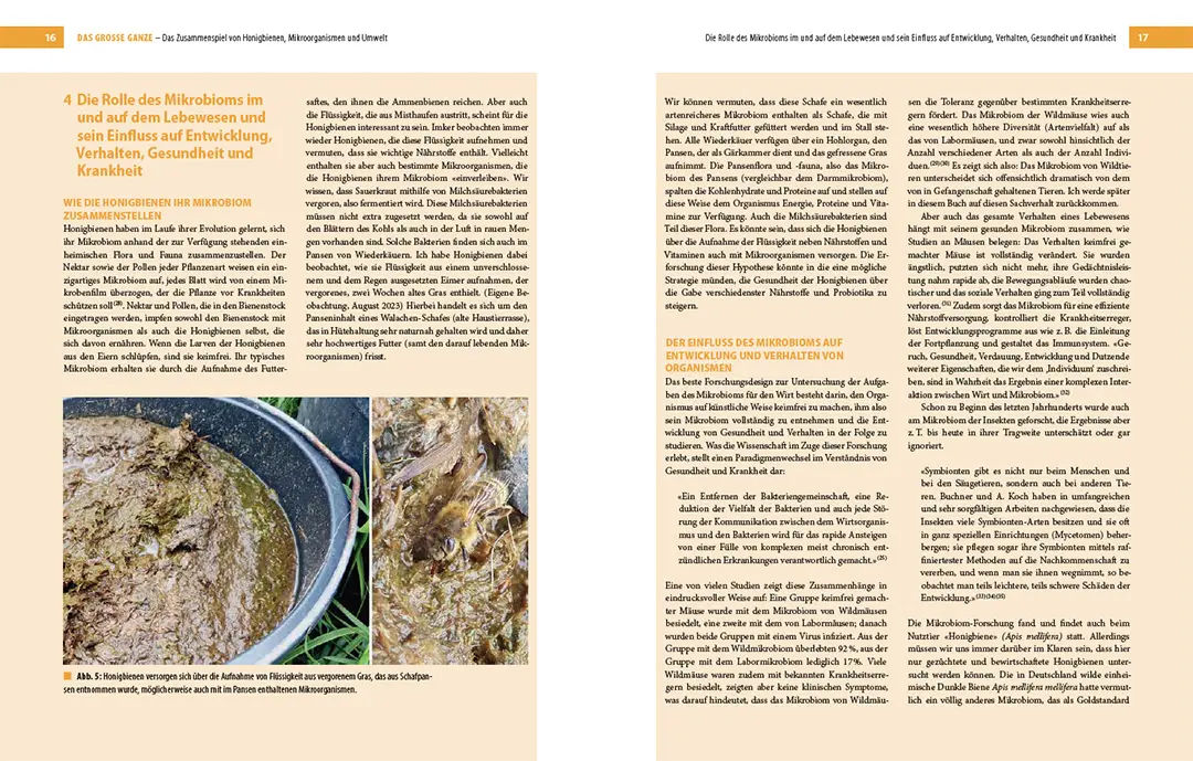 Sample Content (Image) Bienenbau und Bienenbeute