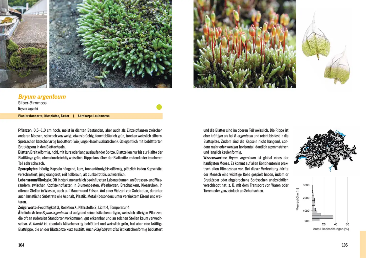 Sample Content (Image) Moose der Schweiz