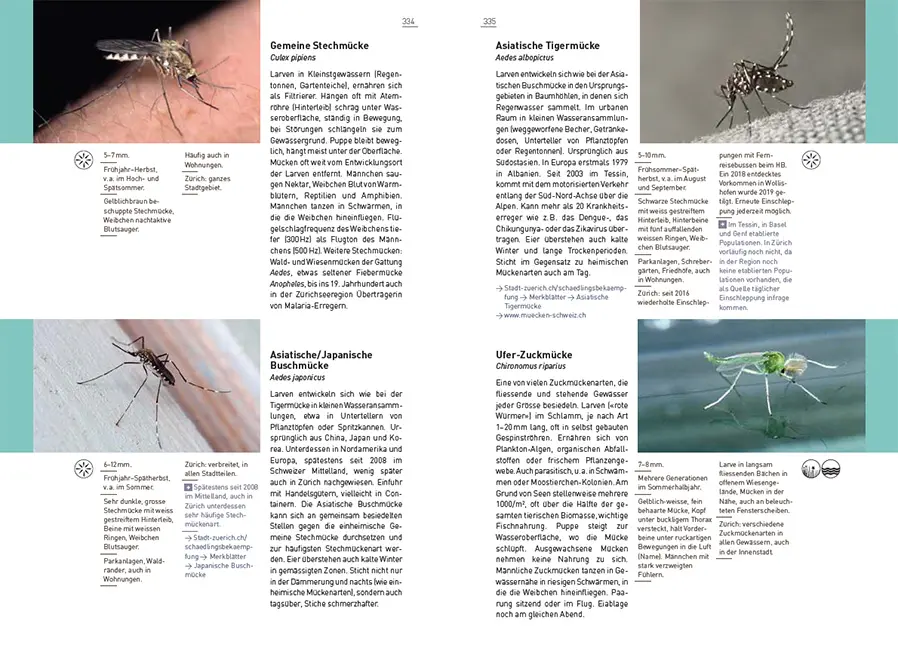 Sample Content (Image) Neue Stadtfauna