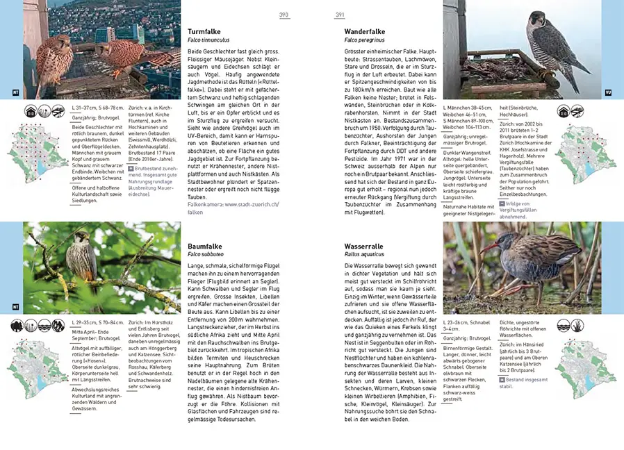 Sample Content (Image) Neue Stadtfauna