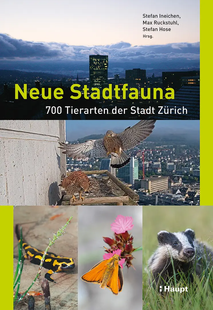 Front Cover Image Neue Stadtfauna