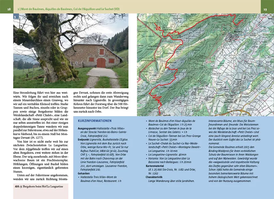 Sample Content (Image) Baumwanderungen