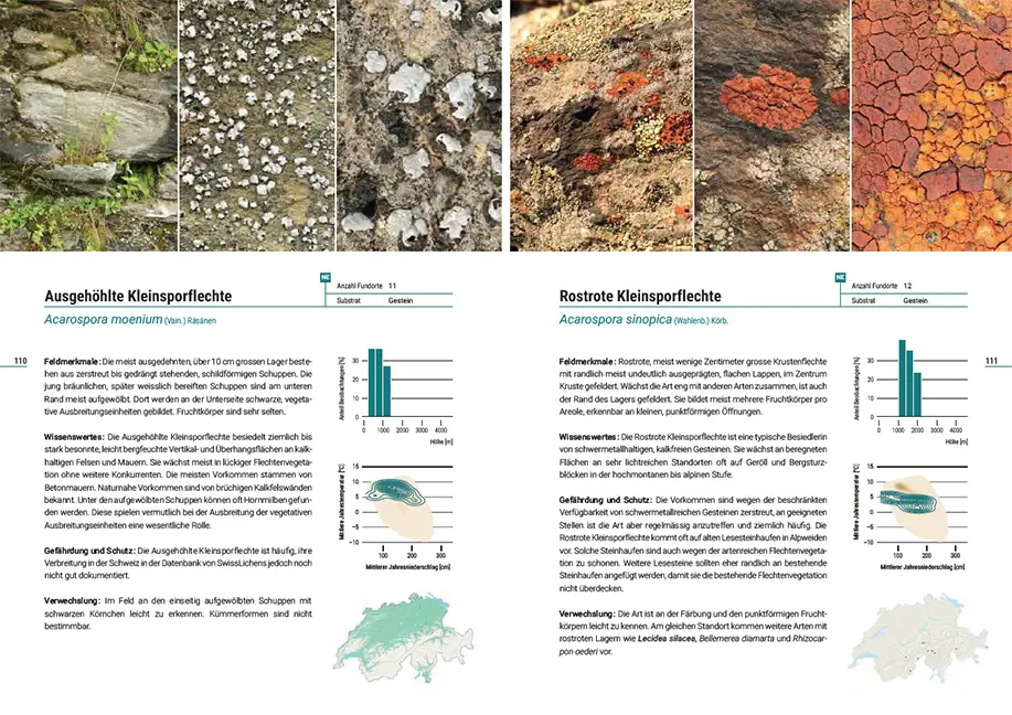 Sample Content (Image) Flechten der Schweiz
