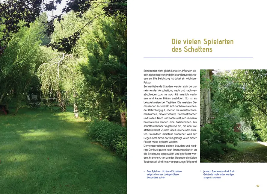 Sample Content (Image) Mein Gartenbaum - klimarobust und klimaschützend