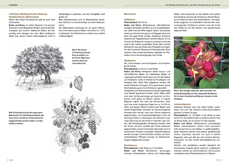 Sample Content (Image) Gärtnern mit Sonne, Wind und Wetter