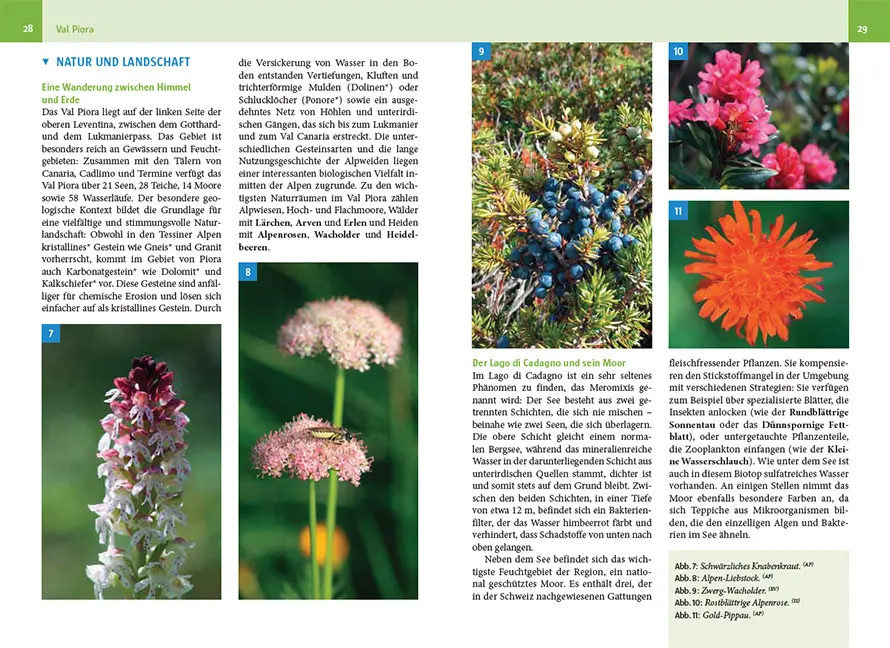 Sample Content (Image) Naturwanderungen im Tessin