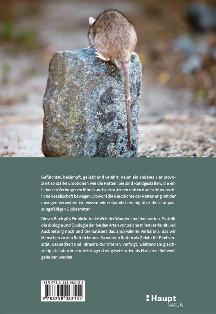 Back Cover Image Ratten