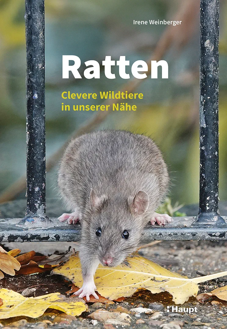 Front Cover Image Ratten