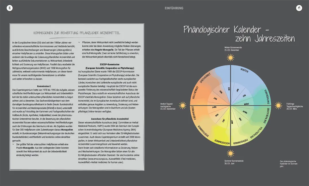 Sample Content (Image) Heilsame Wildpflanzen